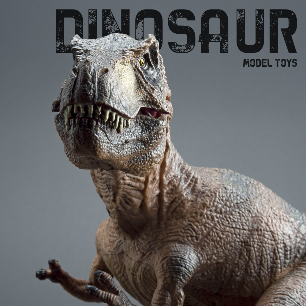Gerçekçi Tyrannosaurus Rex Din - Interior Design House incelemesi ve fiyatı
