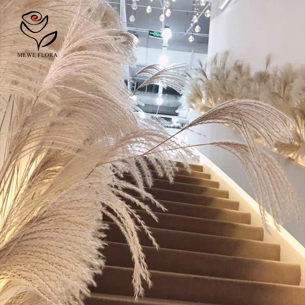 200 adet doğal kurutulmuş kaba - Interior Design Apartment incelemesi ve fiyatı