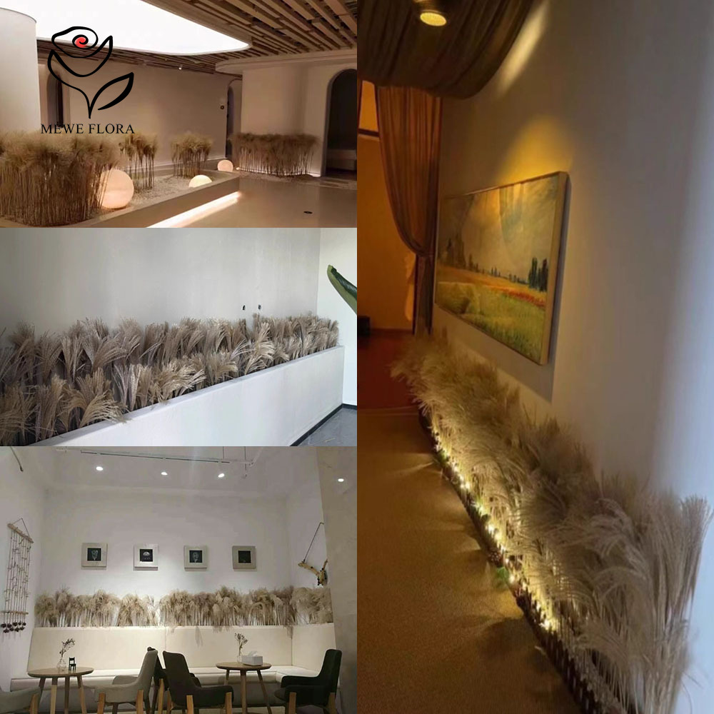 200 adet doğal kurutulmuş kaba - Interior Design Apartment incelemesi ve fiyatı